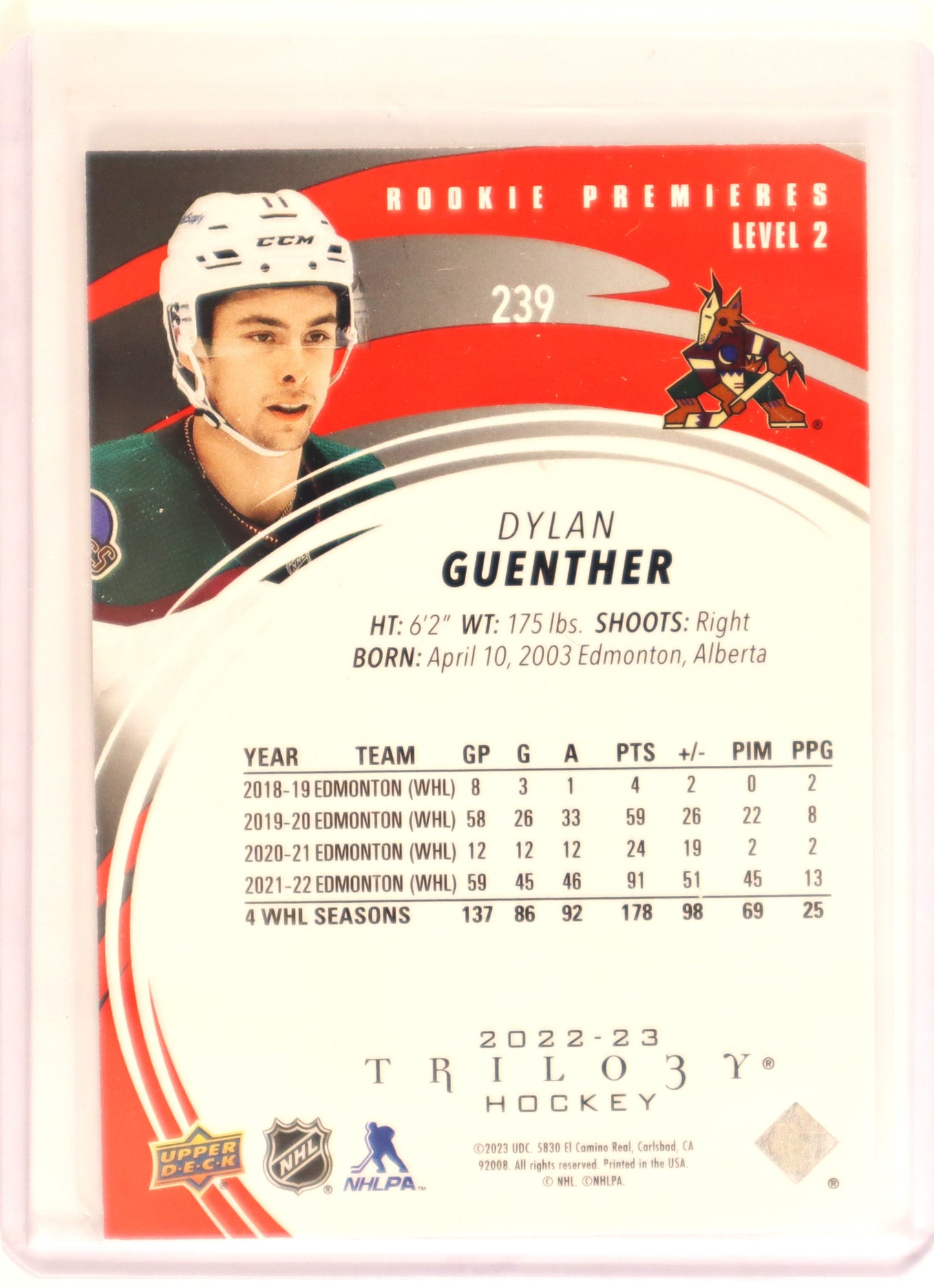 2022-23 Trilogy Rookie Premieres Red Level 2 239 Dylan Guenther 42/49