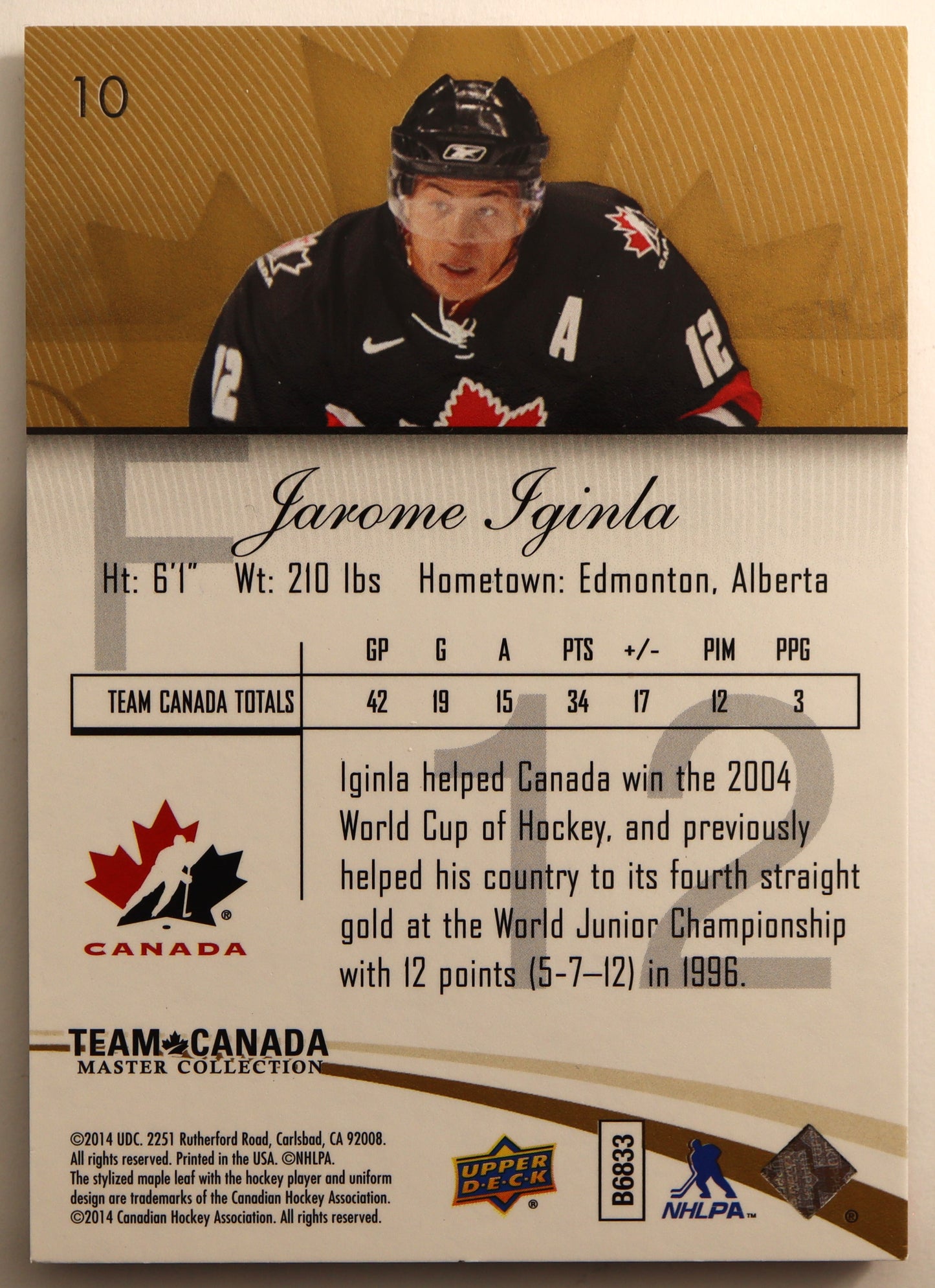 2015-16 Upper Deck Team Canada Master Collection #10 Jarome Iginla 419/499